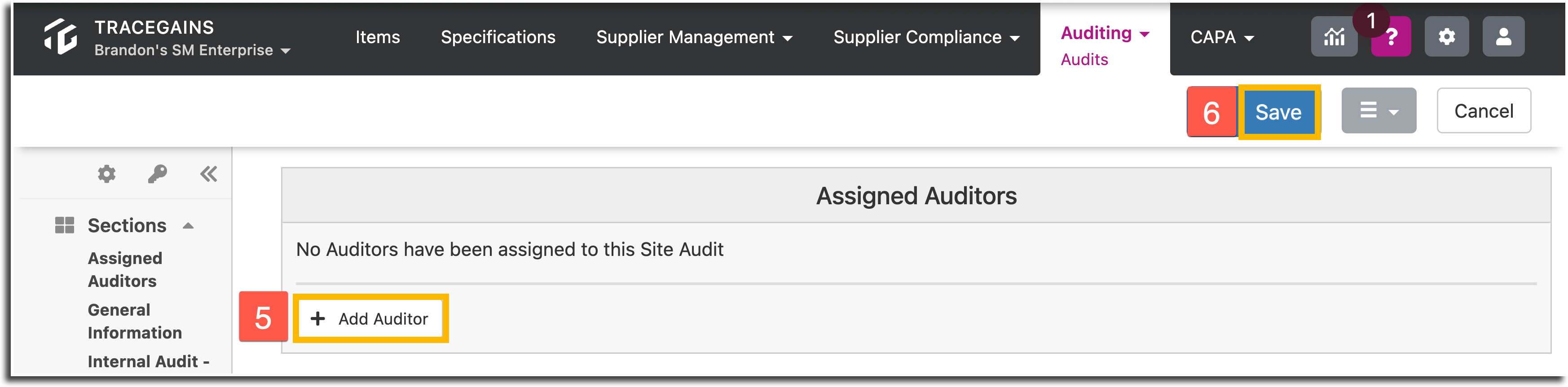 newaudit2.png